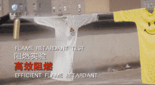 阻燃實(shí)驗.gif